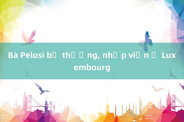 Bà Pelosi bị thương， nhập viện ở Luxembourg