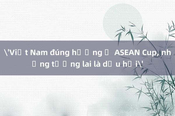 'Việt Nam đúng hướng ở ASEAN Cup， nhưng tương lai là dấu hỏi'