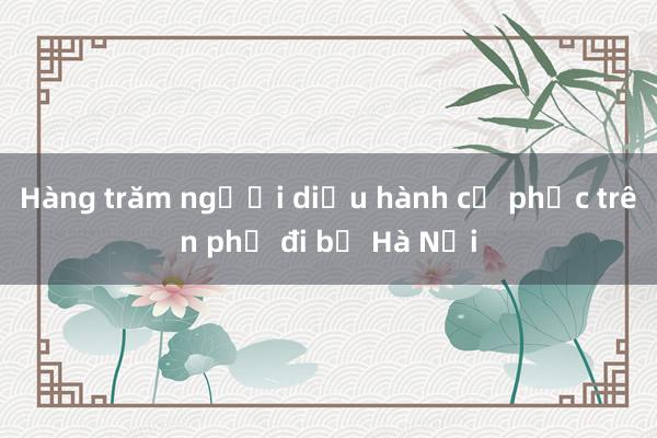 Hàng trăm người diễu hành cổ phục trên phố đi bộ Hà Nội