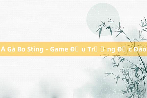 Á Gà Bo Sting - Game Đấu Trường Độc Đáo