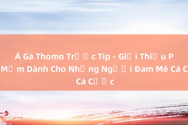 Á Gà Thomo Trước Tip - Giới Thiệu Phần Mềm Dành Cho Những Người Đam Mê Cá Cược