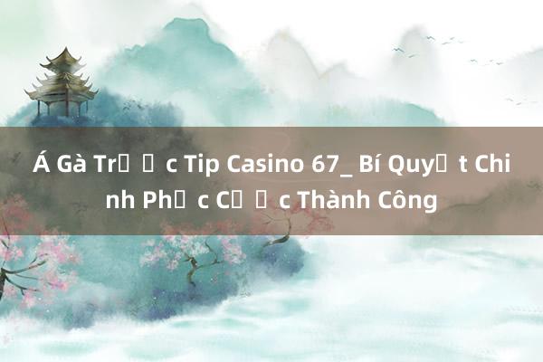 Á Gà Trước Tip Casino 67_ Bí Quyết Chinh Phục Cược Thành Công