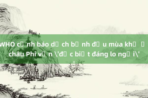 WHO cảnh báo dịch bệnh đậu mùa khỉ ở châu Phi vẫn 'đặc biệt đáng lo ngại'