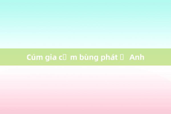 Cúm gia cầm bùng phát ở Anh