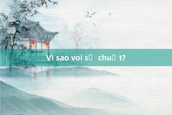 Vì sao voi sợ chuột?