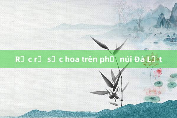 Rực rỡ sắc hoa trên phố núi Đà Lạt