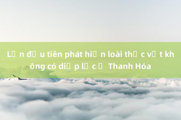 Lần đầu tiên phát hiện loài thực vật không có diệp lục ở Thanh Hóa