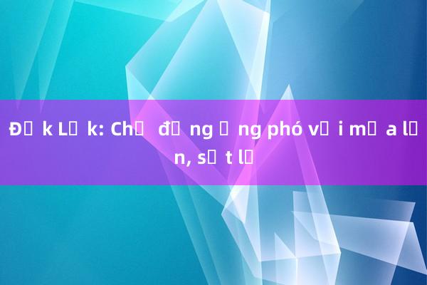 Đắk Lắk: Chủ động ứng phó với mưa lớn, sạt lở