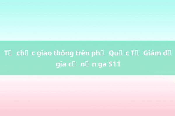 Tổ chức giao thông trên phố Quốc Tử Giám để gia cố nền ga S11 