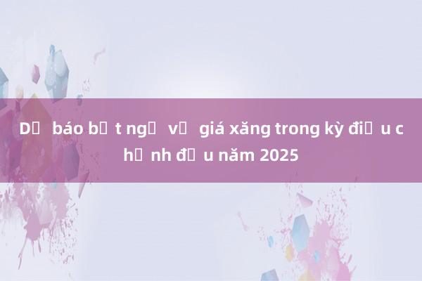 Dự báo bất ngờ về giá xăng trong kỳ điều chỉnh đầu năm 2025