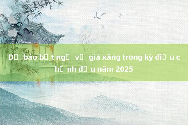 Dự báo bất ngờ về giá xăng trong kỳ điều chỉnh đầu năm 2025