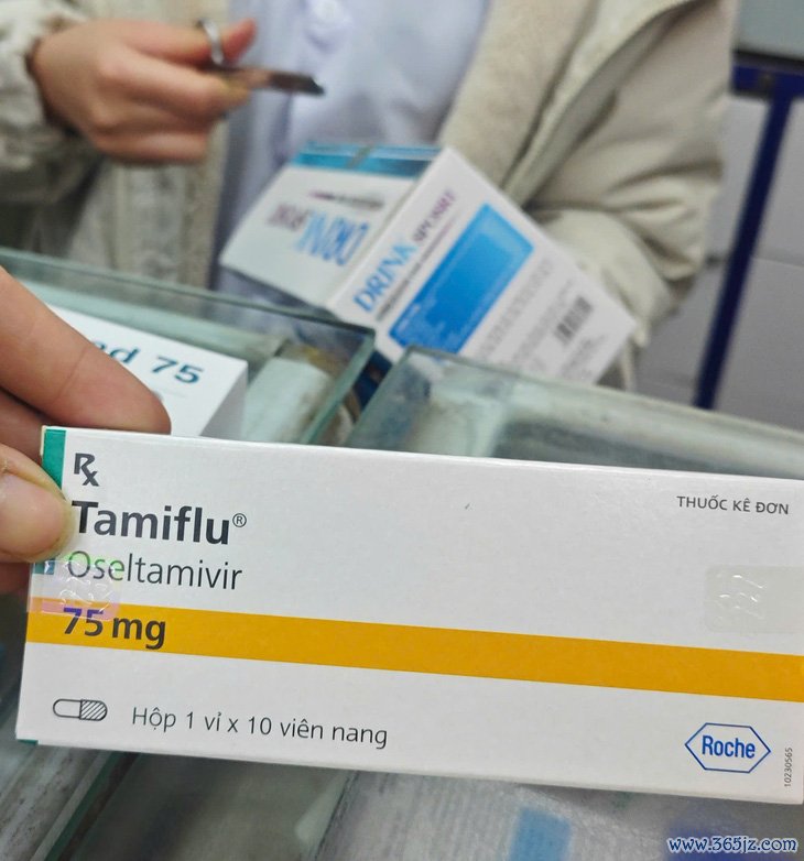 Thực hư thuốc Tamiflu chống cúm ‘khan hàng’， loạn giá? - Ảnh 1.